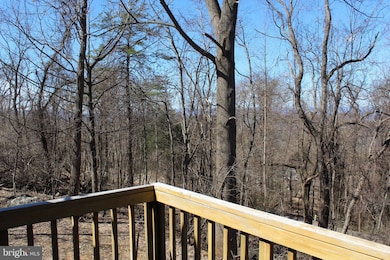 305 Steps to Heaven Rd, Linden, VA 22642 - photo 7