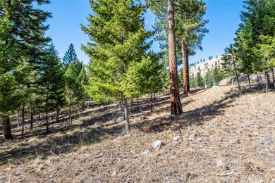 Lot 9 Stonefly Rd, Clinton, MT 59825 - photo 4