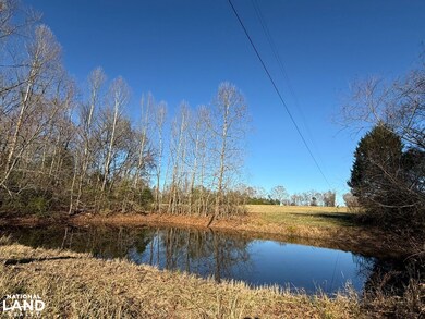 8951 County Rd 11, Florence, AL 35633 - photo 3