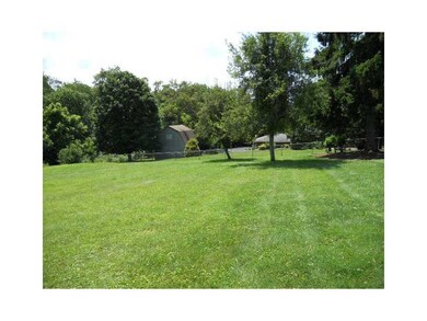 Yard/Garden.