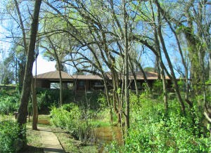 New House Shot
