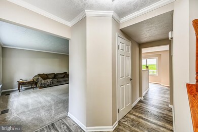 14926 Saddle Creek Dr, Burtonsville, MD 20866 - photo 3