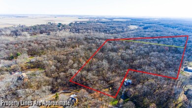 Aerial vew looking Southeast; yellow line is appro