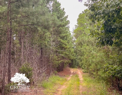 0 Jb Denton Rd, Heath Springs, SC 29058 - photo 7