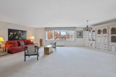 Imperial Towers unit 505, Chestnut Hill, MA 02467 - photo 6