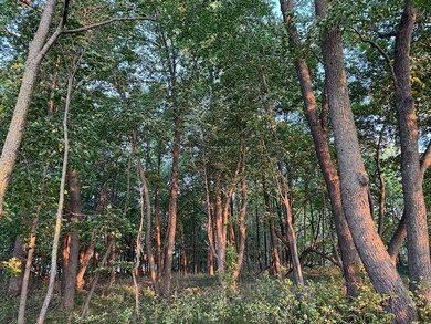 0 Tbd Ne Rock Lake Rd unit 24708695, Rochert, MN 56578 - photo 7