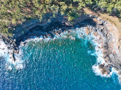 45-5060 Nanaina Kai Rd, Honokaa, HI 96727 - photo 6