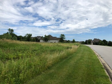 4569 Cherry Rd, Oswego, IL 60543 - photo 2