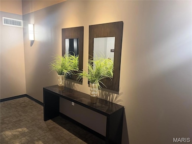 Terra Cotta Lofts Building unit 201, Saint Louis, MO 63103 - photo 4