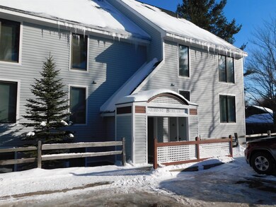 4E Northbrook Village Rd unit B21, Dover, VT 05356 - photo 3