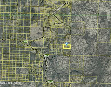 32926 Coyote Run Rd, Nikolaevsk, AK 99556 - photo 4