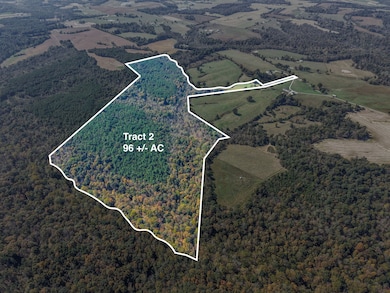 2760 Wallace Fork Rd, Princeton, KY 42445 - photo 3