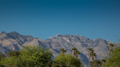 IMG--14