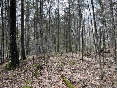 000 Grady Ln unit Lot 7, Hinsdale, NH 03451 - photo 4