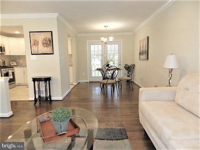 13538 Vandalia Dr, Rockville, MD 20853 - photo 5