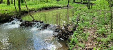 TBD Maple Run, Fairmont, WV 26554 - photo 3