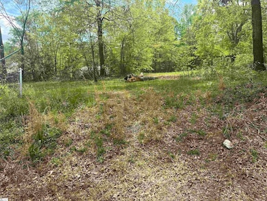 101 W Bluford St, Clinton, SC 29325 - photo 3