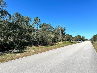0 Woodstork Way unit MFRL4957346, Frostproof, FL 33843 - photo 3