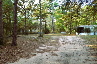 24854 Shady Oaks Blvd, Montgomery, TX 77316 - photo 7