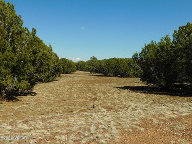 Sequoia Place Show Low, AZ, 85901