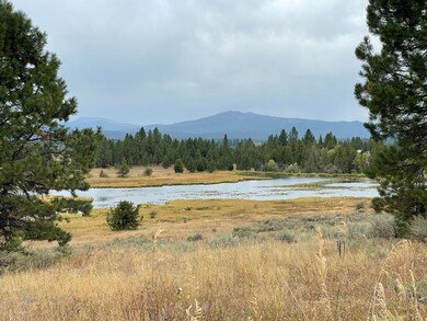 Beautiful Property with Pond & Huge Brundage Mount