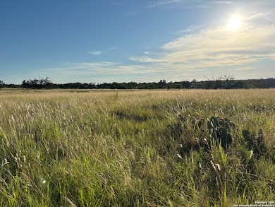 183 Lipan Loop, Harper, TX 78631 - photo 2