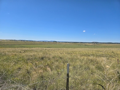 18 Harmony Ct, Moriarty, NM 87035 - photo 3