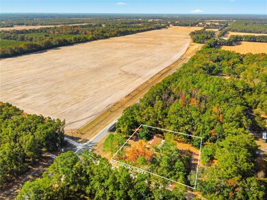 3780 NW County Road 340, Bell, FL 32619 - photo 5