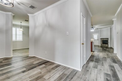 7905 Swan Park Dr, Denton, TX 76210 - photo 4