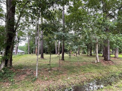 10945 Fm 1409 East Side, Dayton, TX 77535 - photo 3