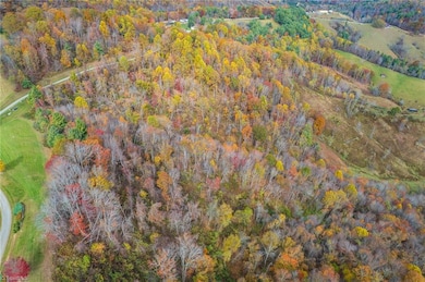 TBD 3 Mayito Ln, Mouth of Wilson, VA 24363 - photo 3