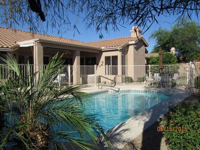 BACKYARD 1