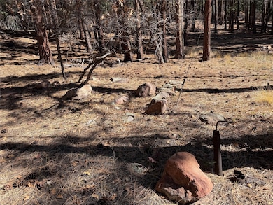 TBD Brazos Lodge Spruce, Chama, NM 87520 - photo 2