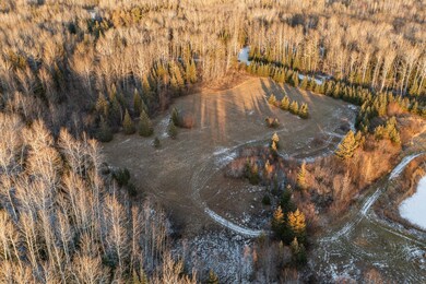 41200 State Highway 286, Bigfork, MN 56628 - photo 7