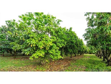 23455 SW 157th Ave, Homestead, FL 33031 - photo 6