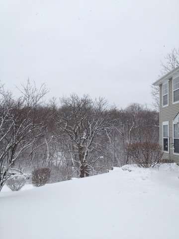 722 Timothy Ct unit 211, East Dundee, IL 60118 - photo 6