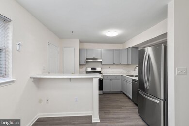 706 W Cherry Blossom Way, Baltimore, MD 21201 - photo 6