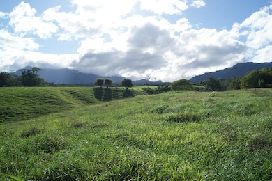 0 Olohena Rd unit 710994, Kapa?a, HI 96746 - photo 4