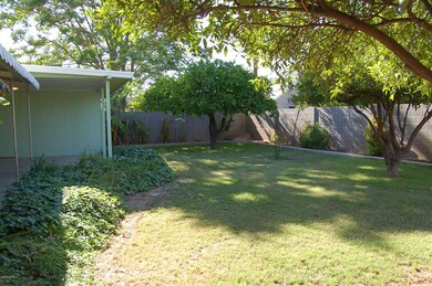 BACKYARD2