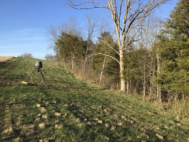 4325 Kentucky 596, Mayslick, KY 41055 - photo 4