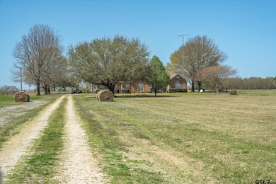 4288 Farm To Market 1652, Grand Saline, TX 75140 - photo 5