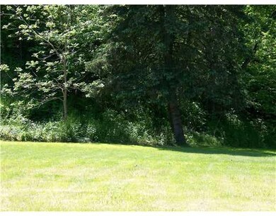 Yard/Garden.