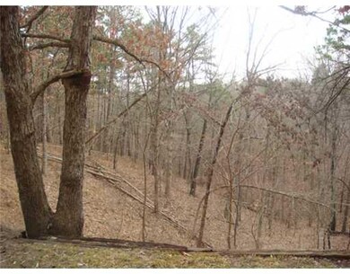 View. Backyard borders government forest.