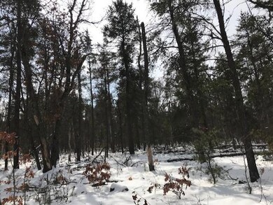 thumbnail_IMG_1449