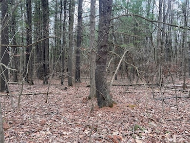 unlisted-address, Lindley, NY 14858 - photo 2