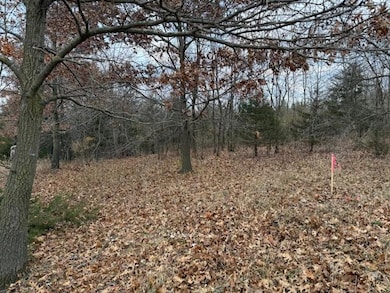 21001 Vergus Ave, Spring Lake Township, MN 55372 - photo 4