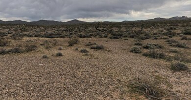Unnamed Access Dirt Rd, Yucca, AZ 86438 - photo 7