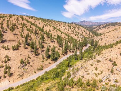 2 Lot Mud Creek Rd, Entiat, WA 98822 - photo 6