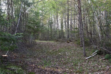 Maine Buildable Lot for Sale in...