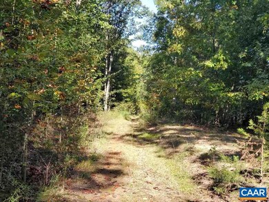 0 Black Walnut Run Rd unit 609417, Rhoadesville, VA 22542 - photo 3